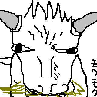 yagi