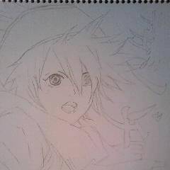 テガミバチ 初描