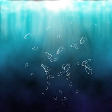 海