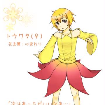【ぴく花】トウワタ【擬人花屋】