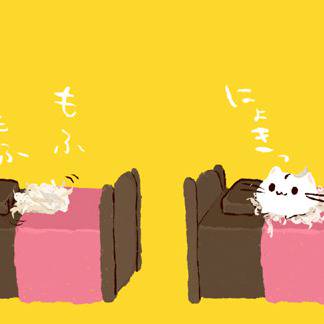 目が覚めたの