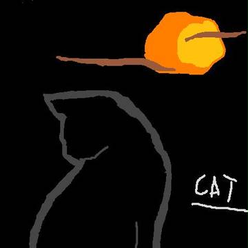 ねこ