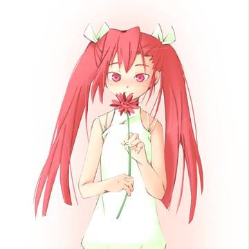 ガーベラさん