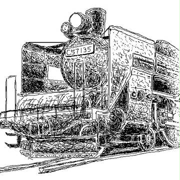 C57135