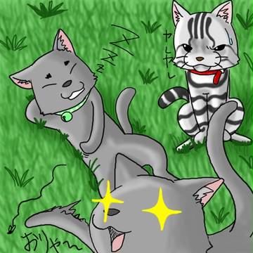 ネコネコネコ