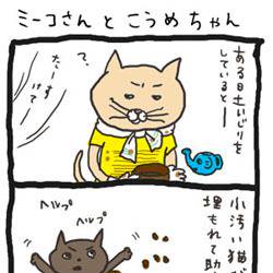 きょうのミーコさん