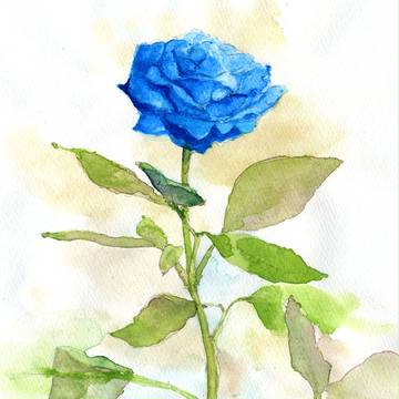 bluerose