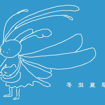 冬虫夏草