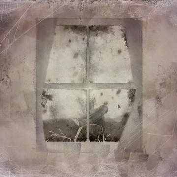 窓辺