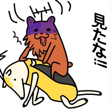 見たな!!