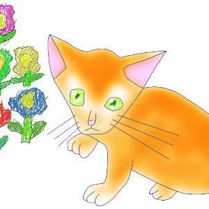 オレンジねこ
