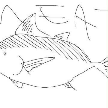 MEAT