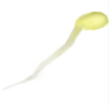 もやし