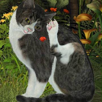 子猫とテントウムシ