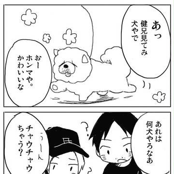 チャウチャウ