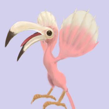 コリブリ