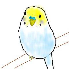 うちのこ。