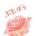 豚　バラ　ローズ