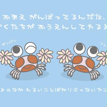 キンチャクガニ