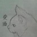 うちのねこ
