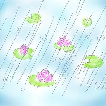 蓮と雨