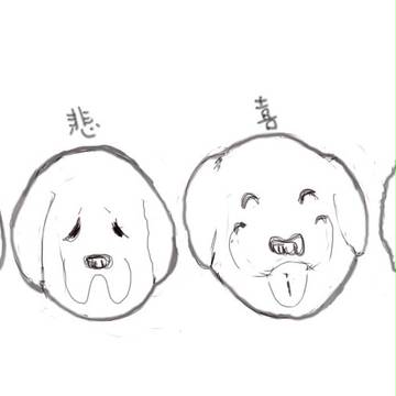 わんこ顔変化