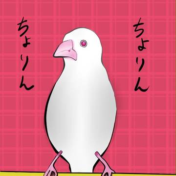 文鳥