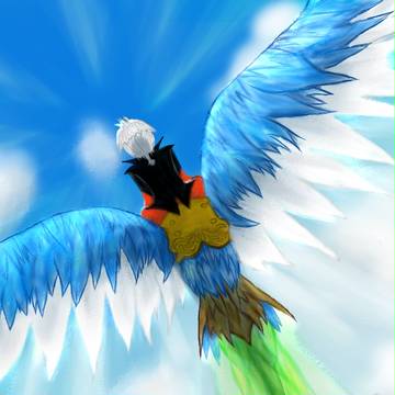 空を翔る