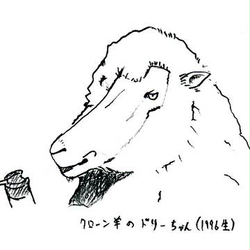 らくがき