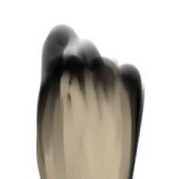 手