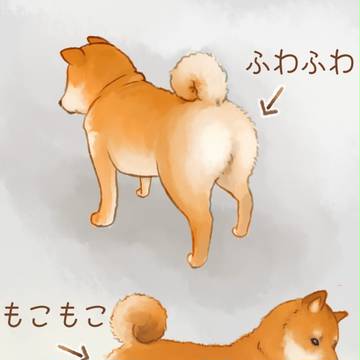 柴犬が尻で誘惑してくる