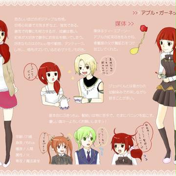 アプル補足