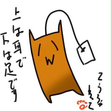 こうちゃねことかいいます。