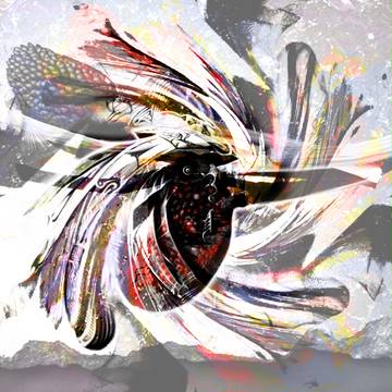 Killer Bee