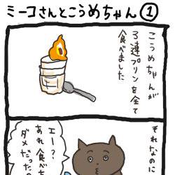ミーコさんとこうめちゃん（1）