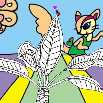 プルメリア
