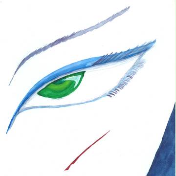 The 3rd eye