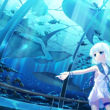 セーラー服と蝶々
