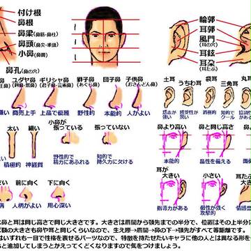 [デッサン]鼻と耳(性格)
