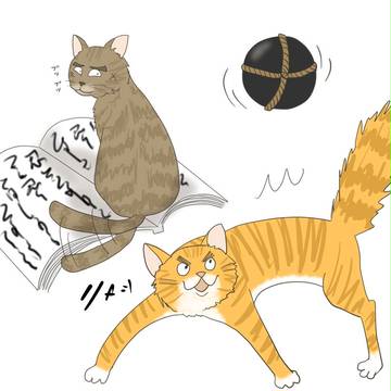 もしも猫なら