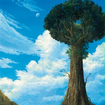 王様の木