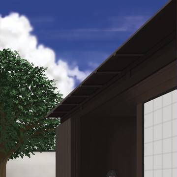 夏の猫屋敷