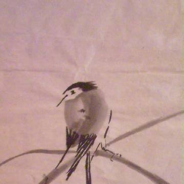 鳥　