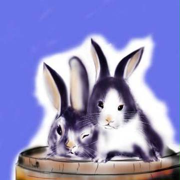 うさぎ