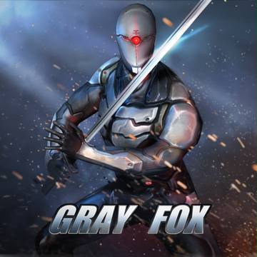 GRAY FOX