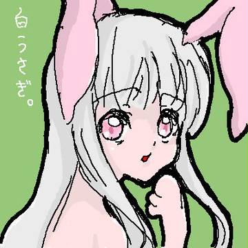 白うさぎ