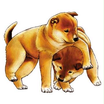 ヘッドロック