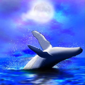 Night Whale