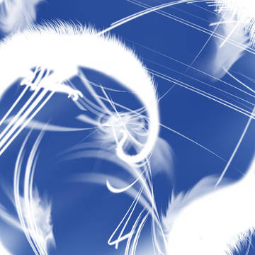 ブラシのみで