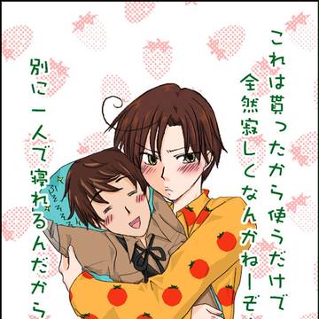 【ヘタリア】抱き枕マンセー【腐向け&オタ菊】